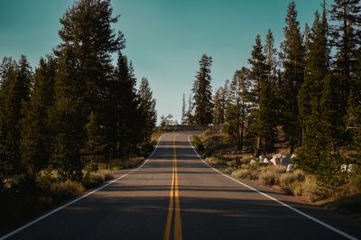 Ensure a Safe Driving Experience!